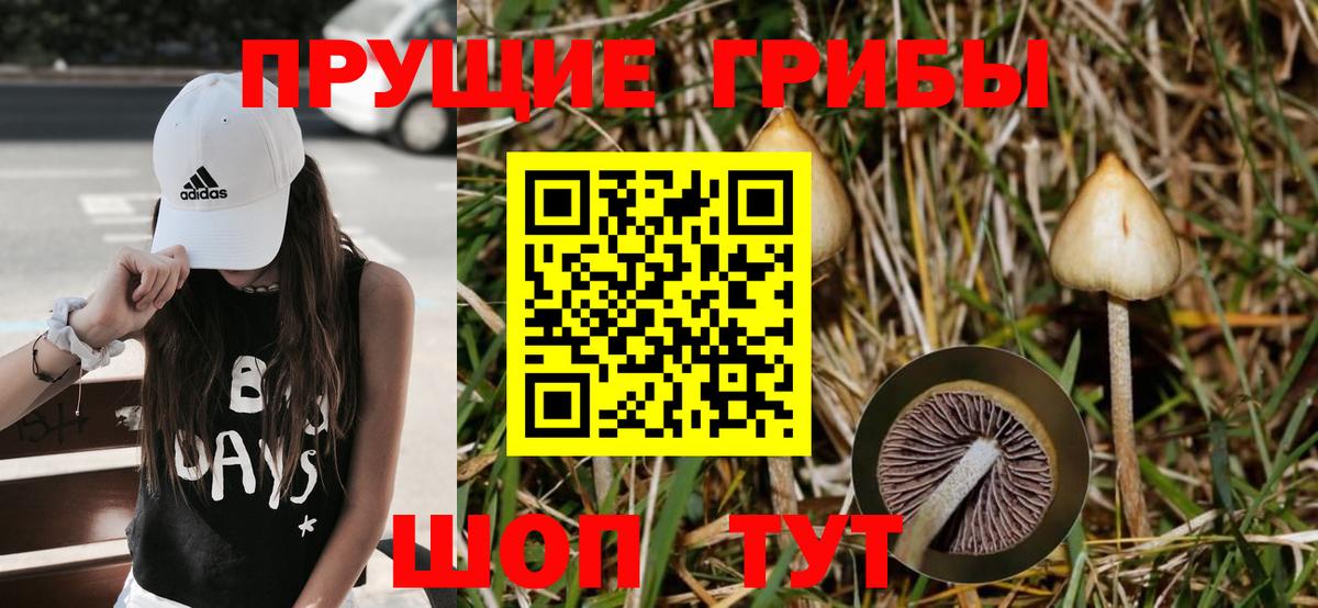 Джанкой  Галлюциногенные грибы Psilocybe  Вход с VPN 